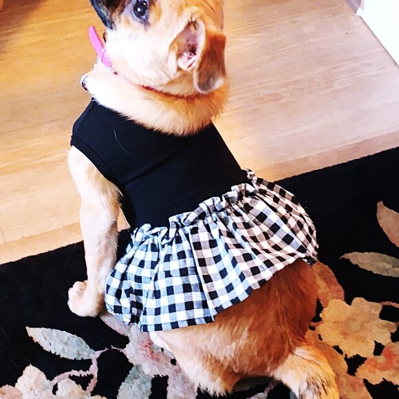 Black and White Dog Dress with Ruffle, Size Small - Picture 3 of 6